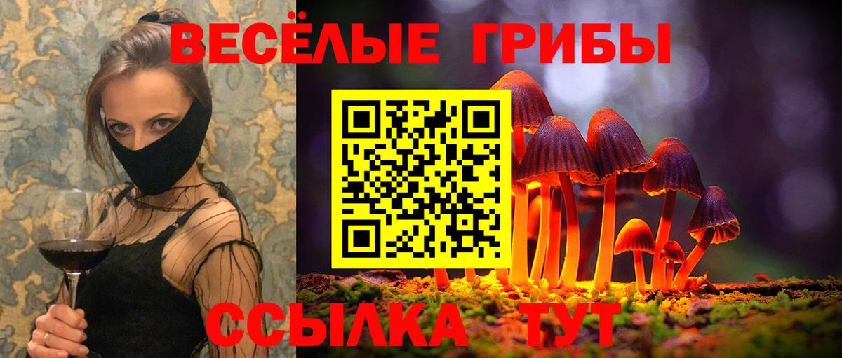 купить наркотики цена  Вход с VPN  Саратов  Псилоцибиновые грибы Psilocybe  Галлюциногенные грибы GOLDEN TEACHER 